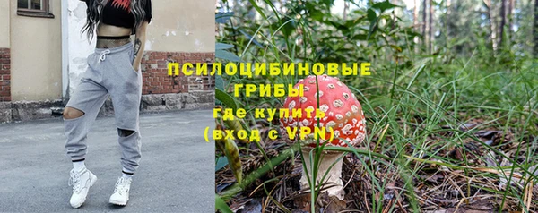 кокс Богородицк