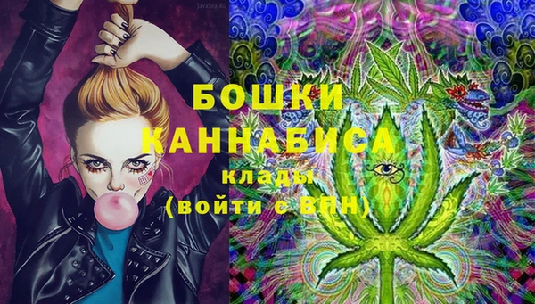 кокс Богородицк