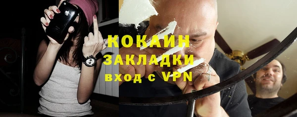 тгк Богданович
