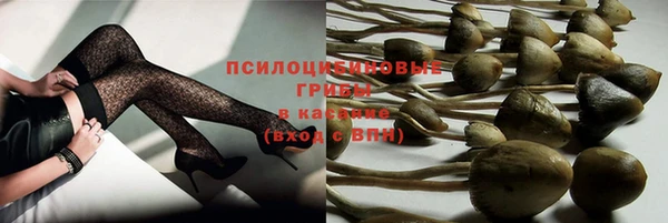кокс Богородицк