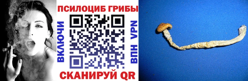 Галлюциногенные грибы Cubensis  Грозный 